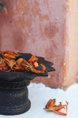 A perfume bottle resting on an open book surrounded by eucalyptus leaves.