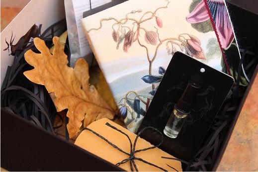 An open subscription box from Grace Atelier showing its contents.