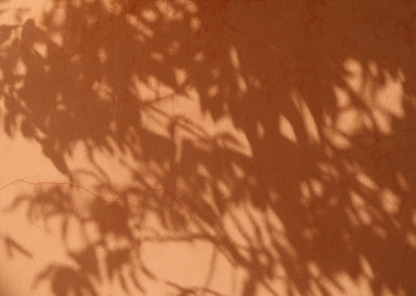 Elegant and serene background representing privacy and trust.